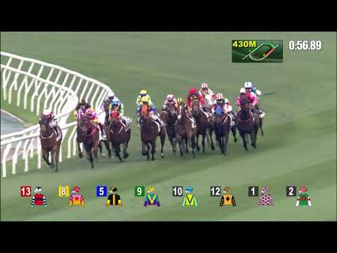 20/3/2022 (513) Country Boy - Z Purton