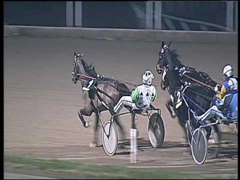 Trotto 23/12/2016 - 8ª corsa