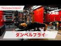 【みんな大好き!大胸筋トレ】ダンベルフライ【Training Library】