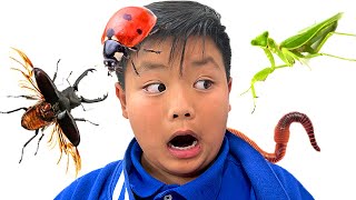 Download lagu Alex and Wendy Learn about Bugs and Insects Kids L... mp3