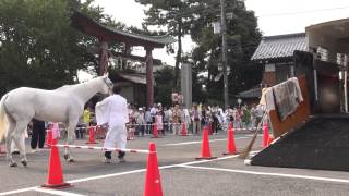 preview picture of video '【Japan】 鷲宮神社 夏越祭 神馬　－　sacred horse （１）'