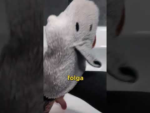 Ele esfregou a tatuagem dele por 290 dias!!!