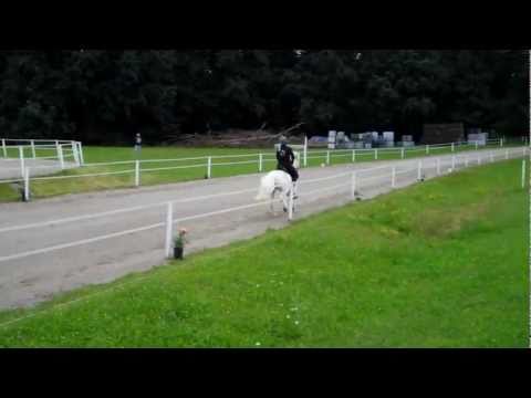 WM-Sichtung St. Radegund - Passrennen mit WR - isibless