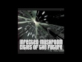Infected Mushroom - Cities Of The Future [Full Album]