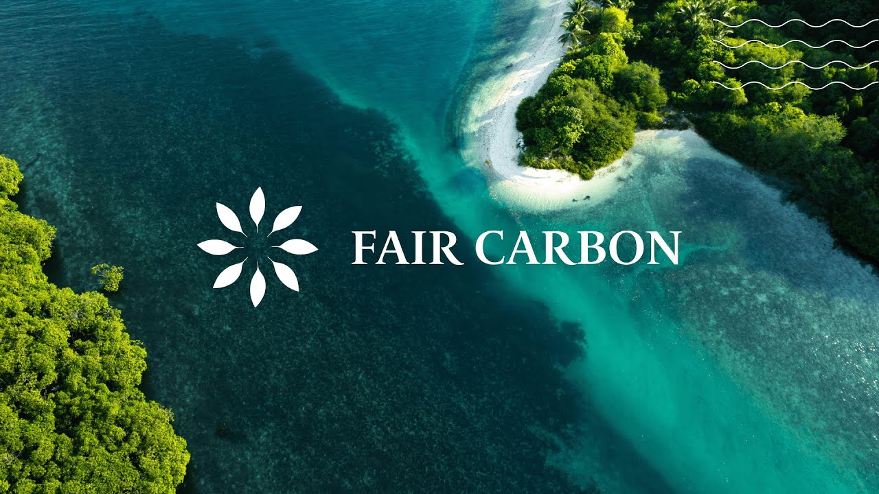 Fair Carbon   An Introduction to Blue Carbon
