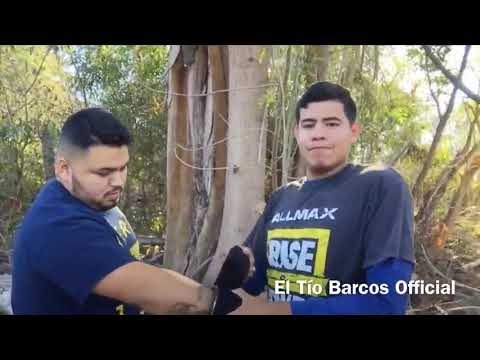 Box profesional pelea a muerte