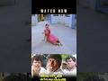 Vadivelu Goundamani Tamil Movie Vadivelu Goundamani Ddmovies