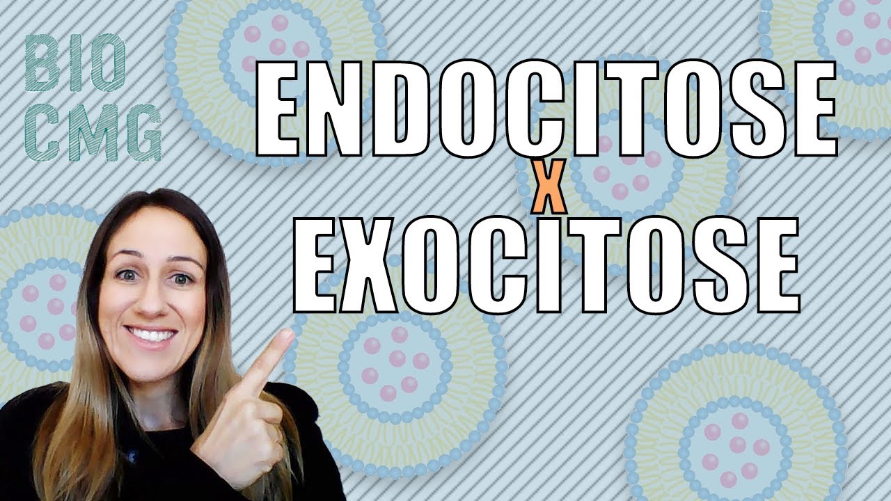 Endocitose e exocitose: transporte celular por vesículas