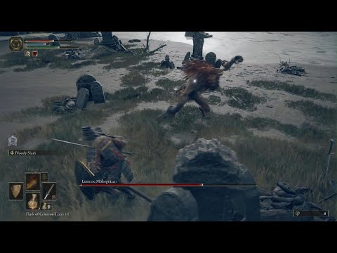 Leonine got his cheeks clapped in elden ring