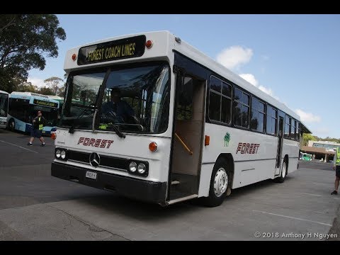 Forest Coach Lines [Terrey Hills] Mercedes-Benz O305 / PMC Mk IV, 88226-H (4192)[Preserved]