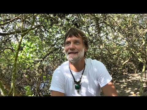 What Does Completing Your Karmic Cycle Look Like? (4 Stages)