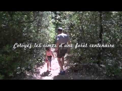 Aoubre2016 ACCROBRANCHE