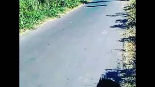 Download lagu Balap liaran ninja 200cc jatuh Ke sawah mp3