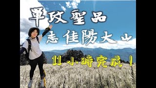 【年休vlog】| Ep.4 DAY5【志佳陽大山單攻】單攻聖品 ∆陡升1700m∆ 誰叫我爬第二次跟你絕交 | 環山部落絕美民宿
