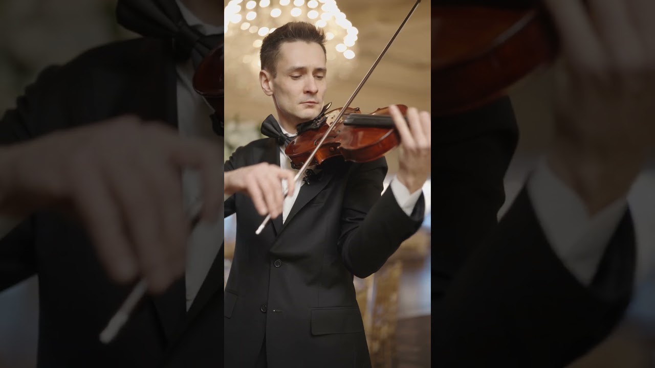 Promotional video thumbnail 2 for Leonard Hotea Violin