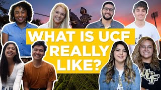 What is UCF Really Like | The Campus Knights
