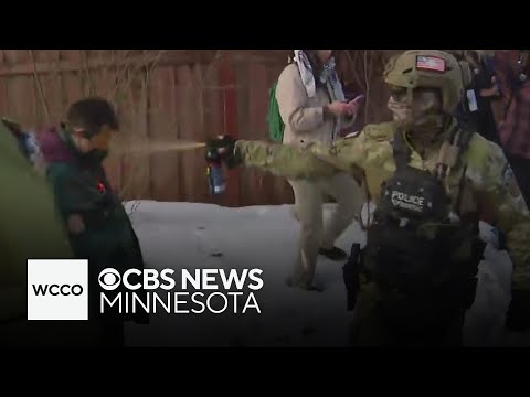 Appeals court sides with ICE in protester use-of-force case