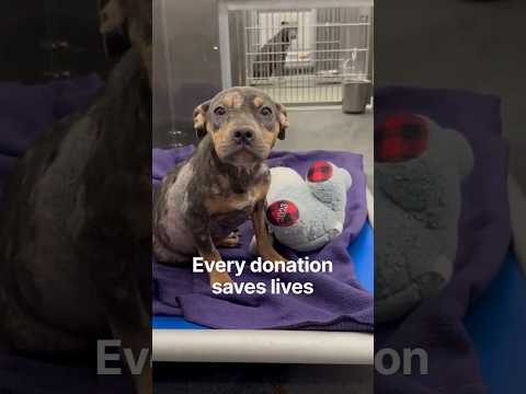 How a Small Nonprofit Transformed 28,000 Lives