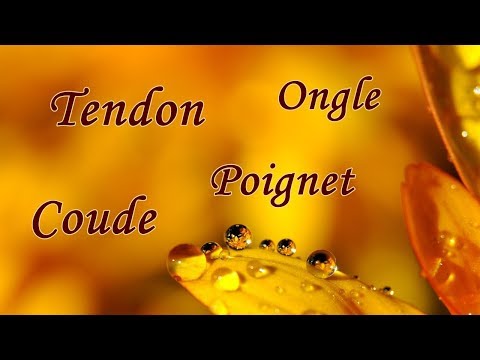 Pronounce "coude, poignet, ongle, tendon" in French