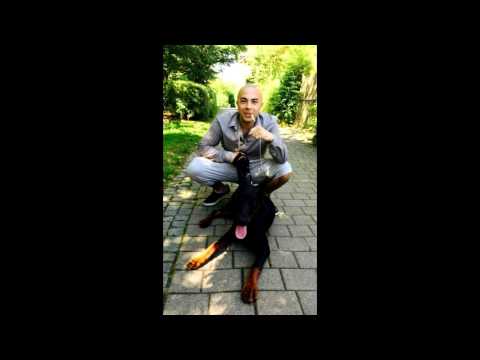 Cemo Musaik - Part an die Cidy