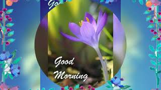 Download lagu Vk kajla mp3 Download lagu Vk kajla mp3