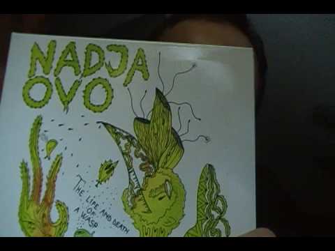 Life and Death of a Wasp by Nadja / Ovo (ALBUM REVIEW)