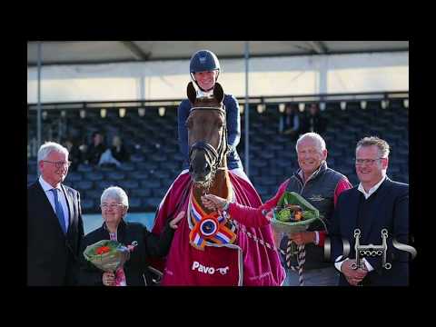 2015 KWPN Mare v. Franklin - Half sister to 2016 PAVO Cup Champion