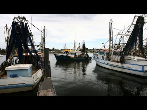 The Great Ships. The Trawlers. 2006