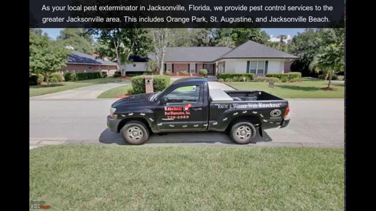 Knockout Pest Cotnrol | Jacksonville, FL | Pest Control