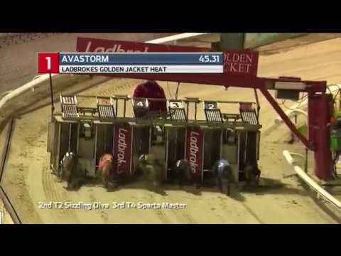 2020 LADBROKES GOLDEN JACKET - HEAT 6 - T1 AVASTORM
