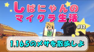 【Minecraft】-ゆっくり実況-しばにゃんのマイクラ生活＃12～メサ・Badlands～