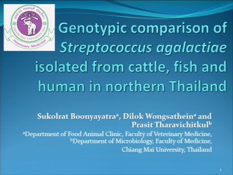 Genotypic comparison of Streptococcus agalactiae isolated...