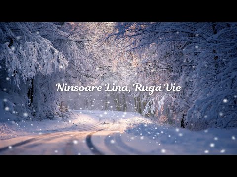 Ninsoare Lină, Rugă Vie I Cântec Creștin de Iarnă