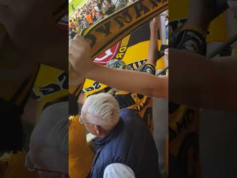 die Ankündigung und der Einlauf von Dynamo Dresden