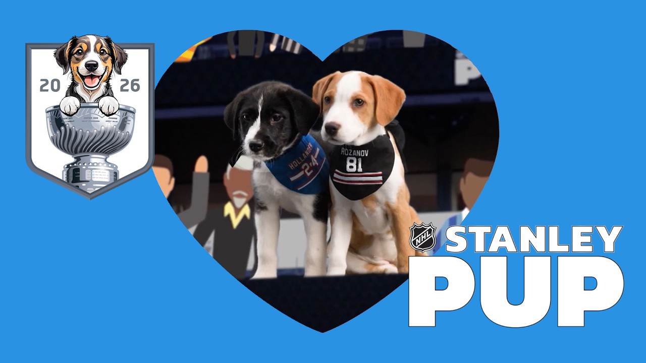 PUPPIES ONLY | The Ultimate 2026 Stanley Pup Championship Edition 🐶 🏆