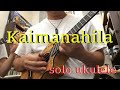 Kaimanahila - Herb Ohta, Jr. / copied by Na Kane