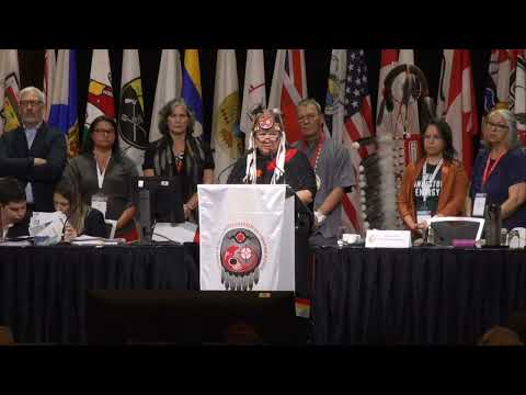 AFN National Chief RoseAnne Archibald full speech at the AGA | APTN News
