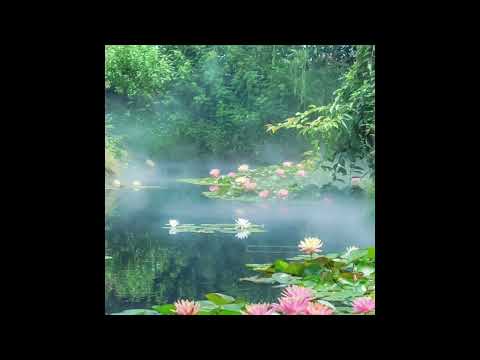 [free] kiryano x waifu x emoplugg x pluggnb x autumn type beat "better off" [prod. finnwyd]