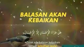 Download lagu STORY Wa Muslim _ sholawat Kullul Qulub mp3