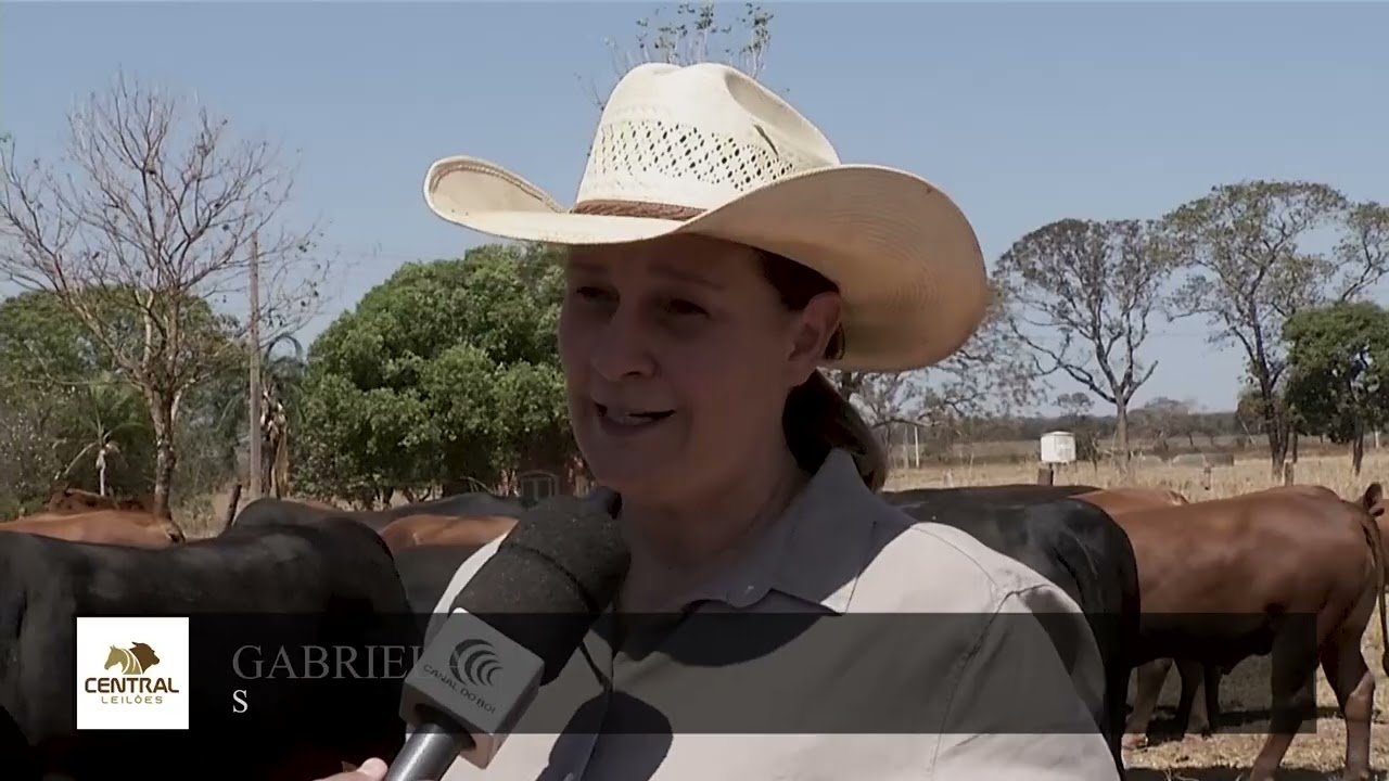O Megaleilão Montana 2024 está chegando!