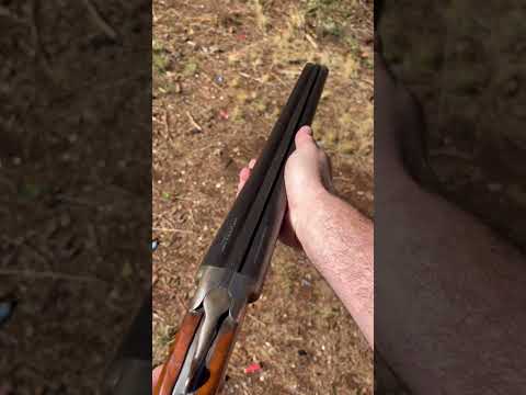 Double Barrel Shotgun