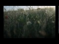 Radiohead - Lull 