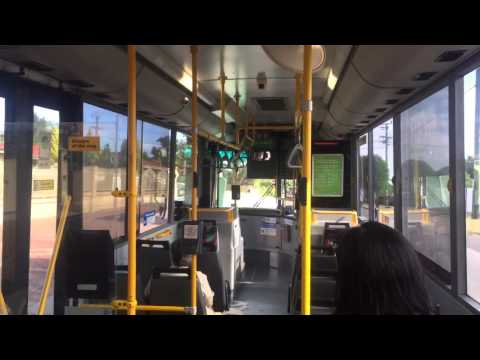 Transperth TP1711 - Mercedes-Benz O405NH (Voith)