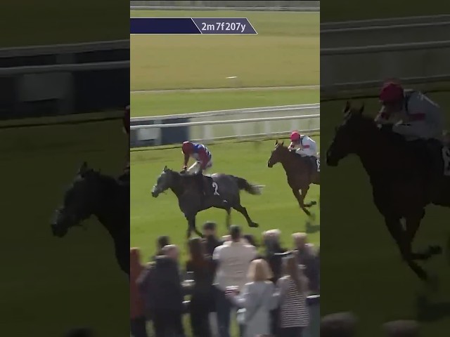 Thumbnail for Post ID: WNexMyXi8GY