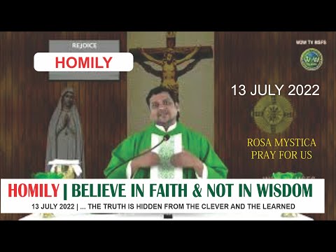 HOMILY | 13 JULY 2022 | LORD HAS HIDDEN THIS TRUTH FROM THE WISE & LEARNED | by Fr. Diago Fernandes