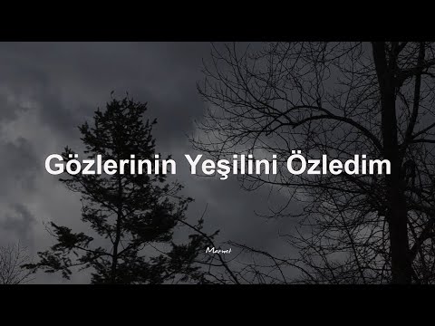 Gözlerinin Yeşilini Özledim - Seda Tripkolic (Sözlü Lyrics)