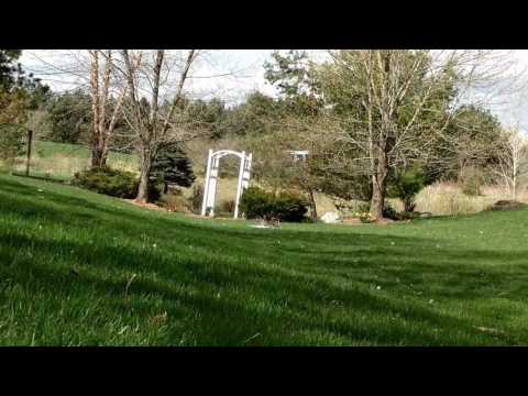 Drone flight Williamston MI