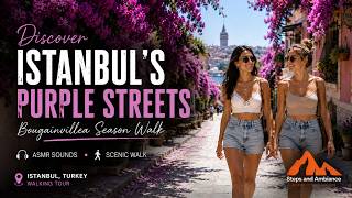 Discover Istanbul's Purple Streets: Bougainvillea Season Walk