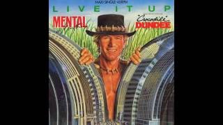 Mental As Anything -  Live It Up (Extended Remix)