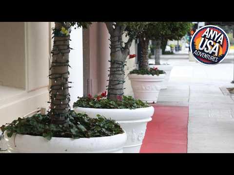 Hotel Carmel | Los Angeles (CA), United States | Hotel Review 🏨